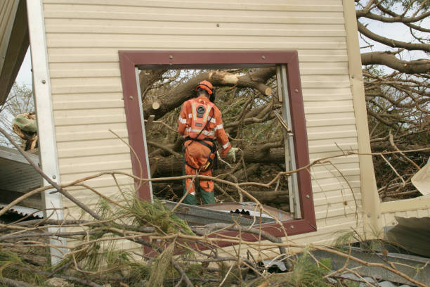 Professional Tree Removal in Luther, OK